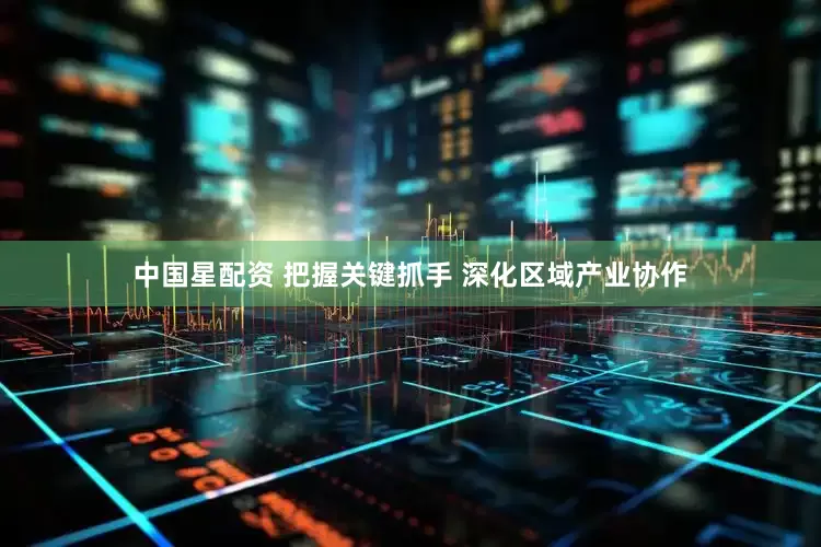 中国星配资 把握关键抓手 深化区域产业协作