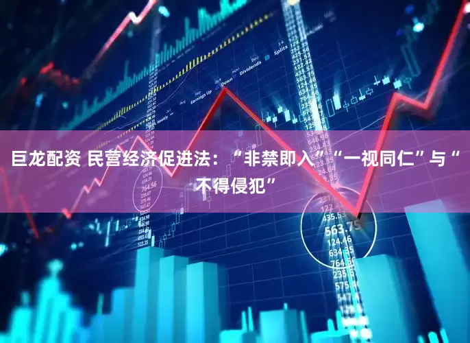 巨龙配资 民营经济促进法：“非禁即入”“一视同仁”与“不得侵犯”