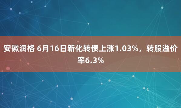 安徽润格 6月16日新化转债上涨1.03%，转股溢价率6.3%