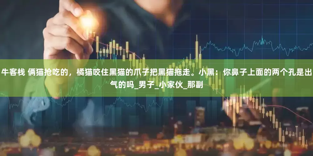 牛客栈 俩猫抢吃的，橘猫咬住黑猫的爪子把黑猫拖走。小黑：你鼻子上面的两个孔是出气的吗_男子_小家伙_那副