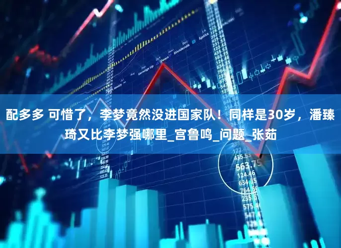 配多多 可惜了，李梦竟然没进国家队！同样是30岁，潘臻琦又比李梦强哪里_宫鲁鸣_问题_张茹
